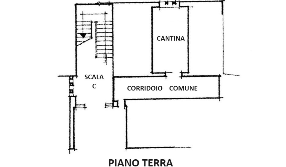 piano terra cantina